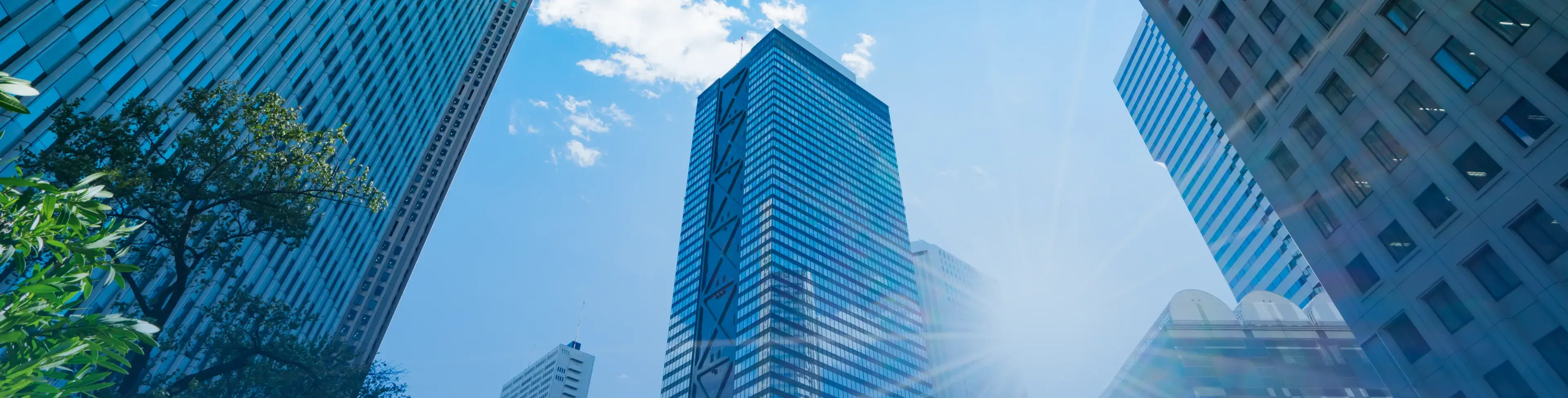 会社概要